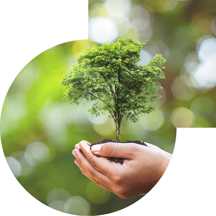 关怀人类、文化、环境与社会